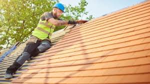 Best Roof Maintenance and Cleaning  in Venetian Vlage, IL